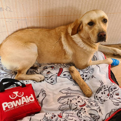 PawAid Pet First Aid Kit