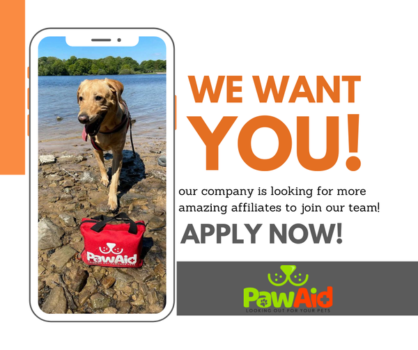⭐️ WE WANT YOU! ⭐️