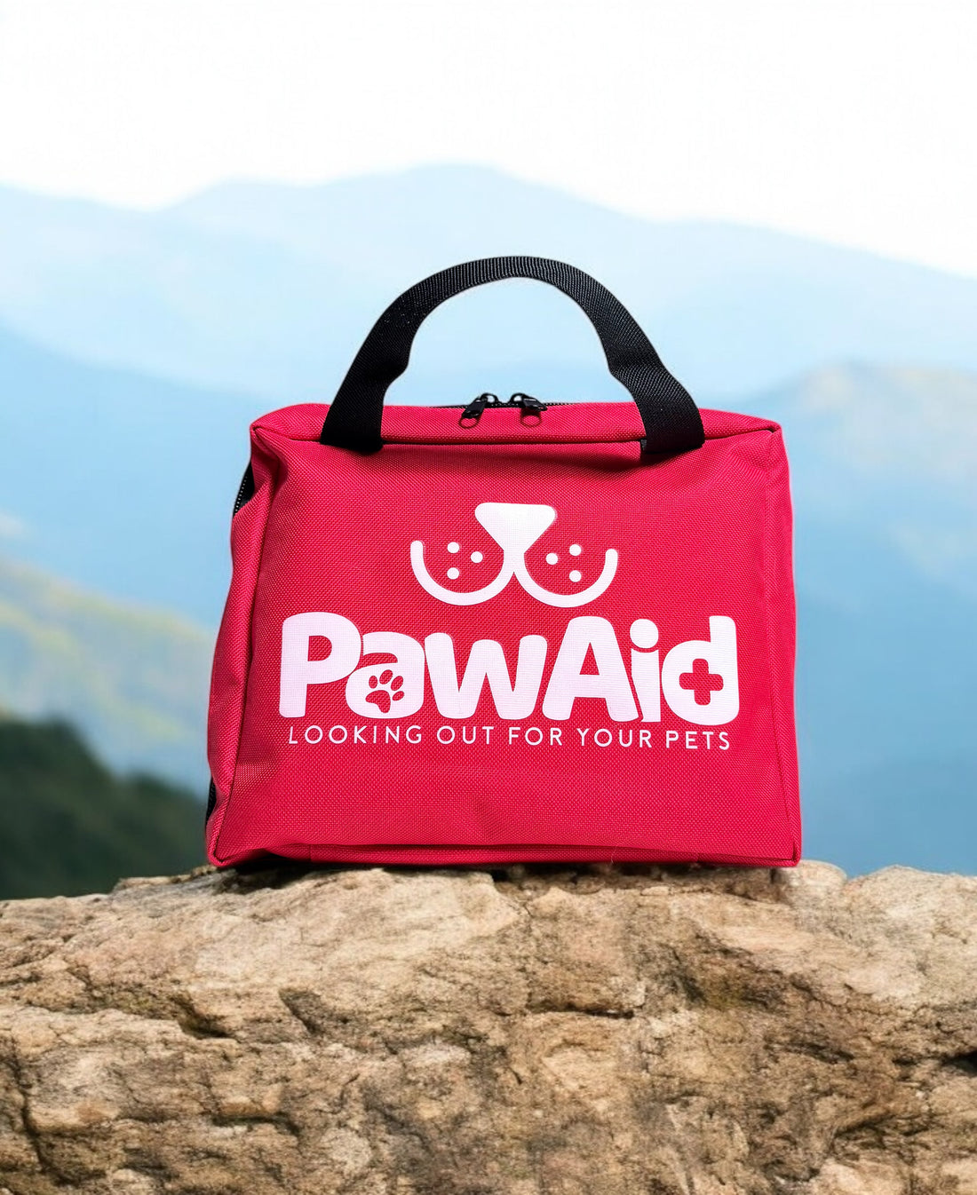 The Importance of a Pet First Aid Kit for Dog Owner