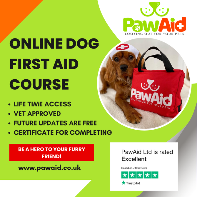 Pet First Aid Kits UK – PawAid Emergency Kits for Dogs – PawAid Ltd