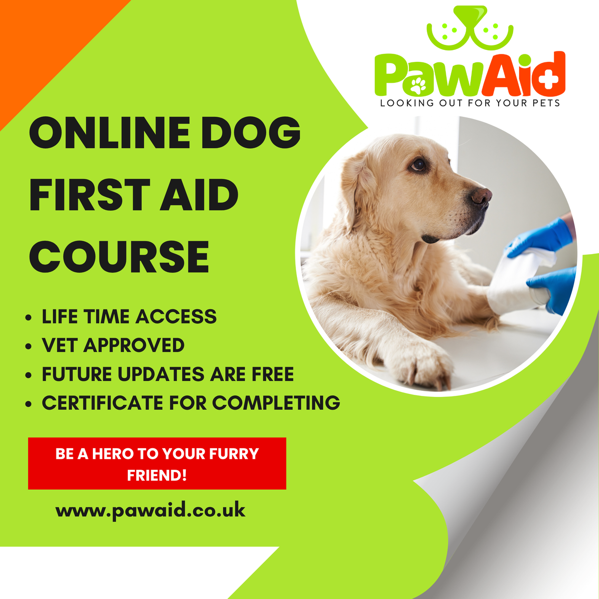 Vet-Approved Online Pet First Aid Course