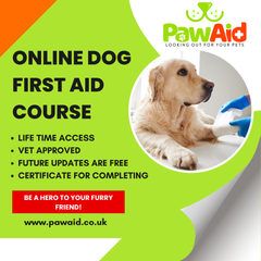 Vet-Approved Online Pet First Aid Course