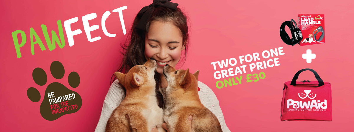 Pet First Aid Kits UK – PawAid Emergency Kits for Dogs – PawAid Ltd