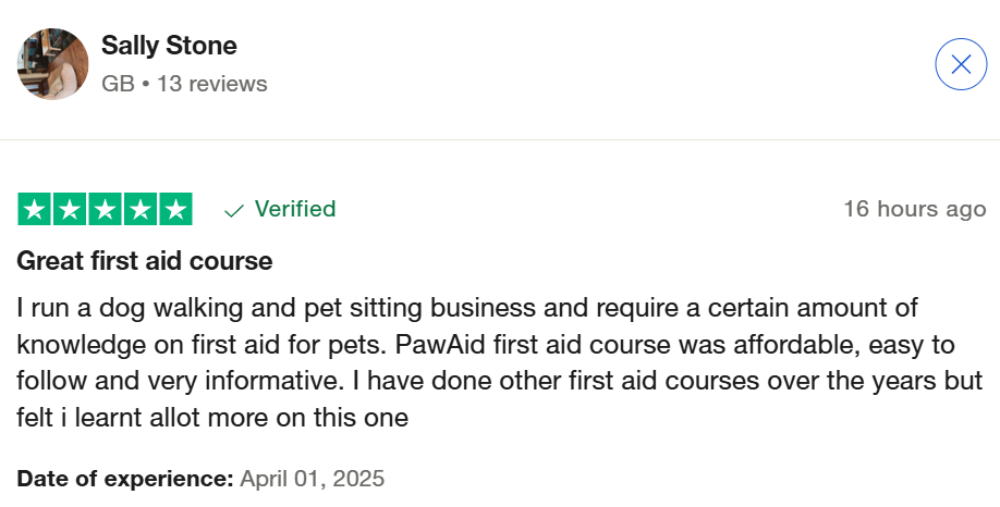 Vet-Approved Online Pet First Aid Course