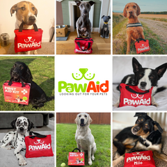 PawAid Pet Health Club
