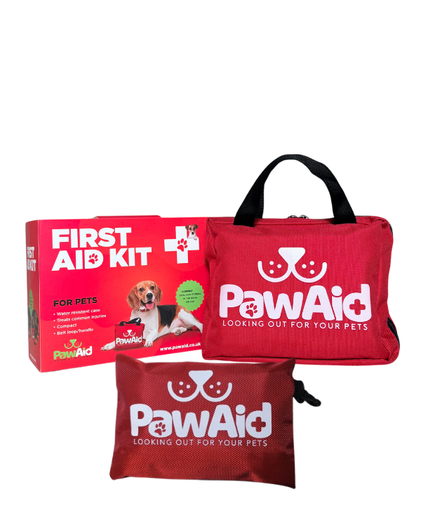 Mini Travel Kit & First Aid Kit Bundle