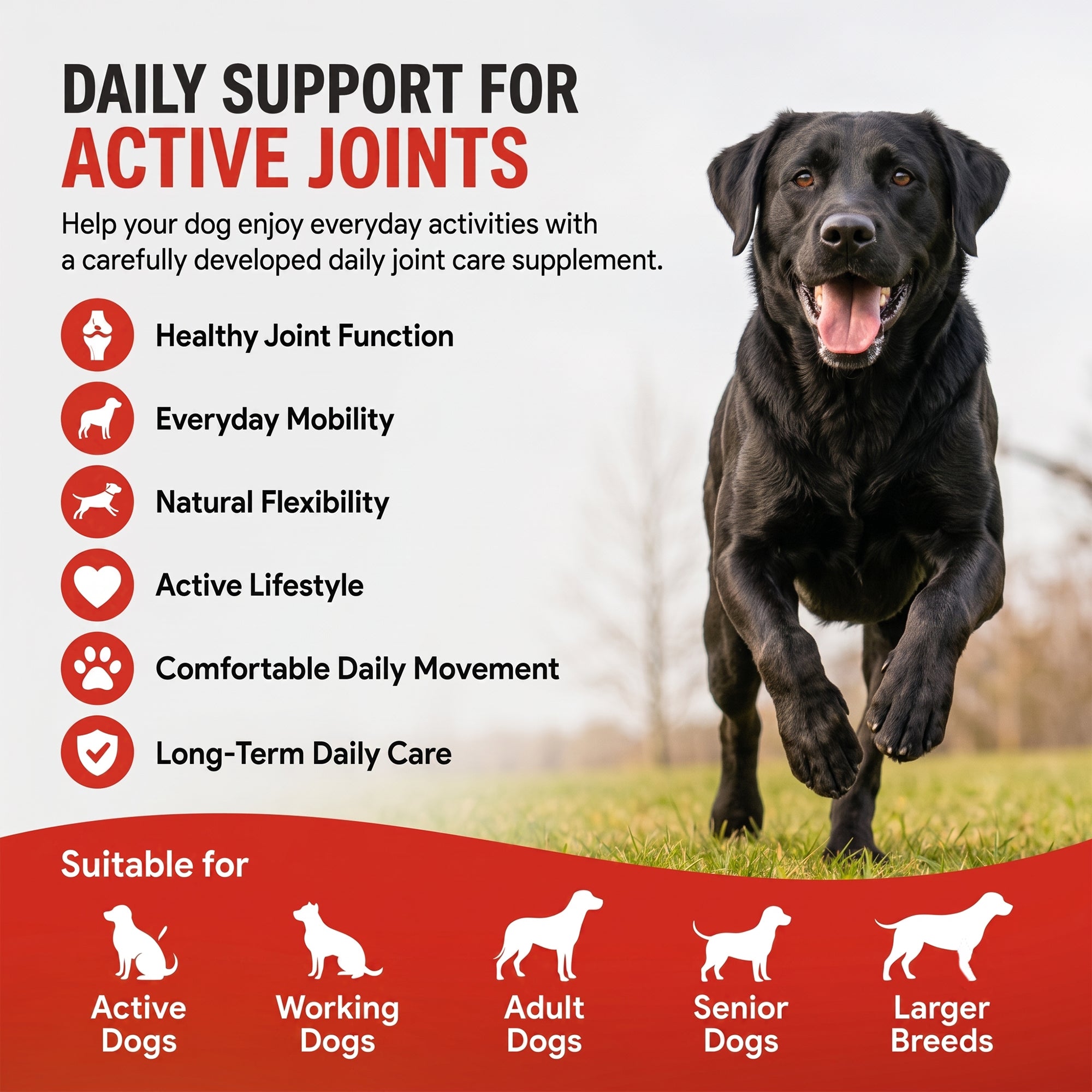 PawAid Pet Joint Support for Dogs- Chicken Flavour 120 Tablets
