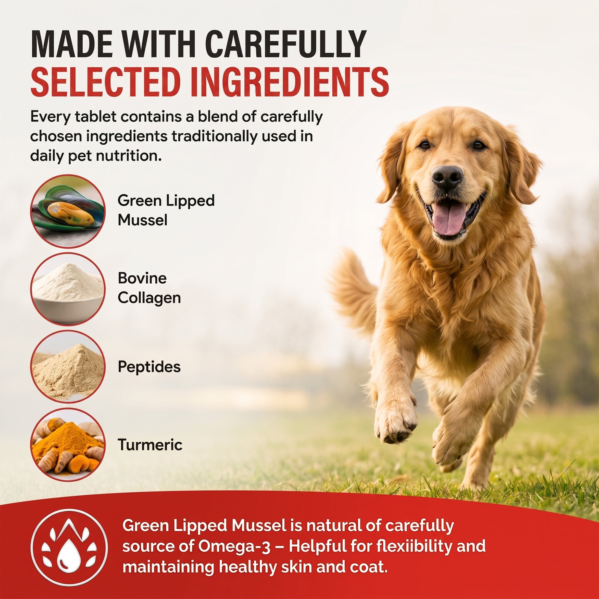 PawAid Pet Joint Support for Dogs- Chicken Flavour 120 Tablets