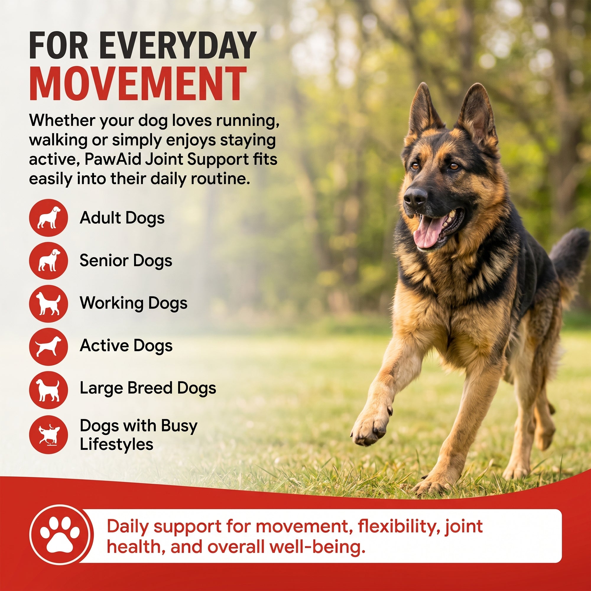 PawAid Pet Joint Support for Dogs- Chicken Flavour 120 Tablets