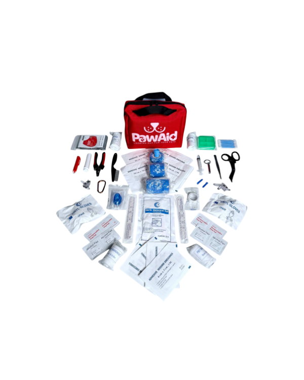 Mini Travel Kit & First Aid Kit Bundle