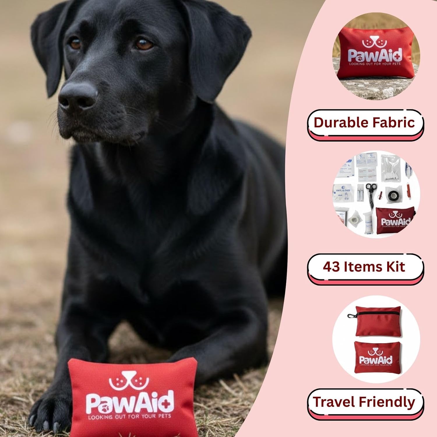 Mini Travel First Aid Kit