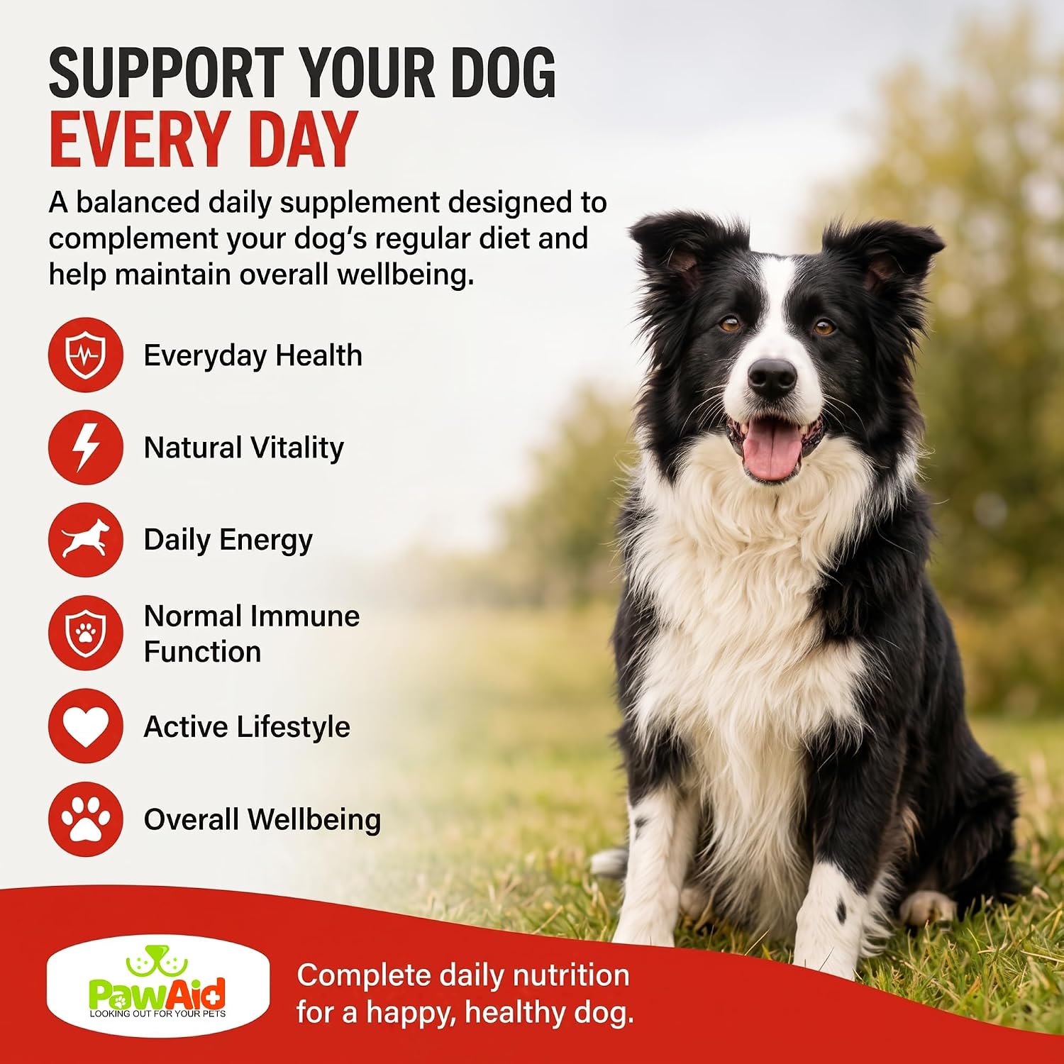 PawAid Multi-Vitamin For Dogs -  Chicken Flavour 120 Tablets