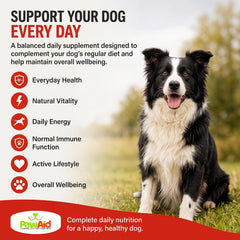 PawAid Multi-Vitamin For Dogs -  Chicken Flavour 120 Tablets